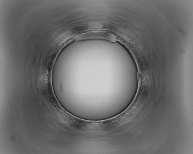 X0000112051161200908250952