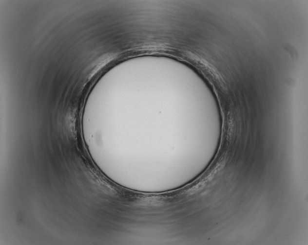 X0000112051162200908250952