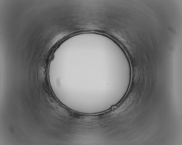 X0000112051163200908250952