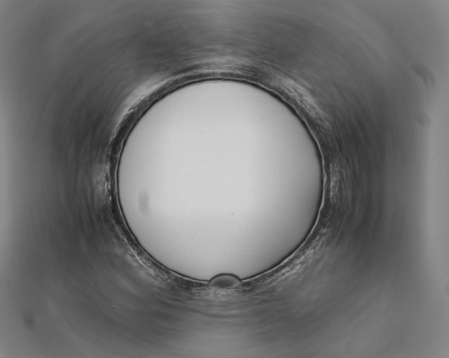 X0000112051164200908250952