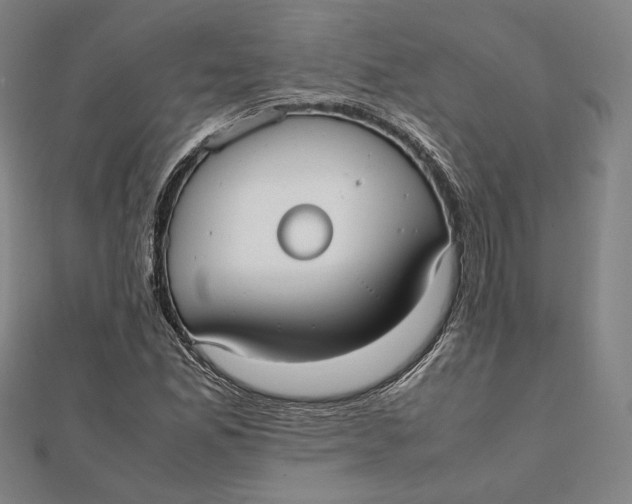 X0000112051165200908250952