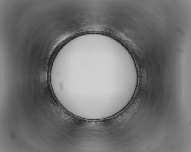 X0000112051166200908250952