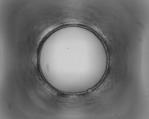 X0000112051167200908250952