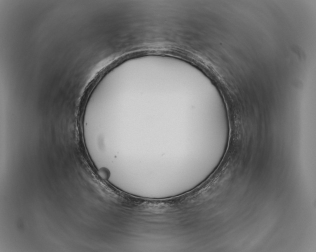 X0000112051168200908250952