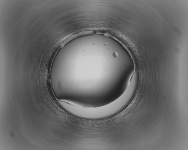 X0000112051169200908250952