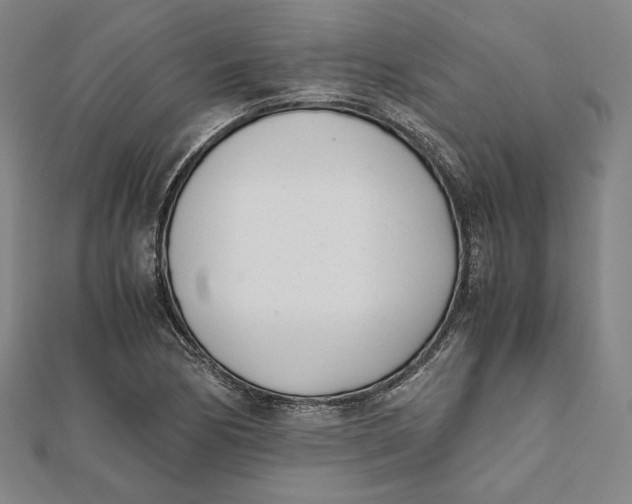 X0000112051170200908250952