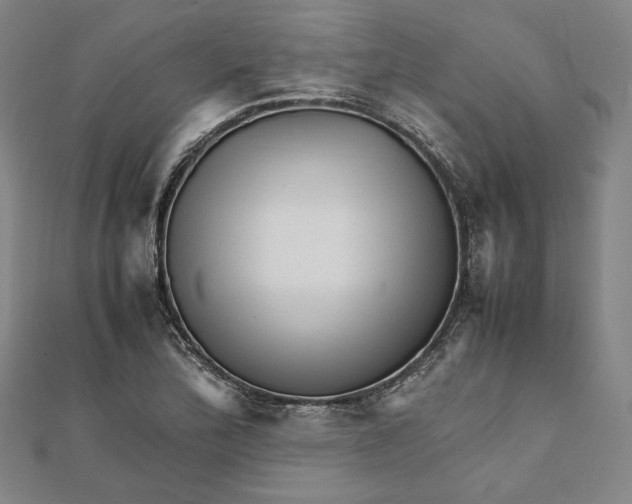 X0000112051172200908250952