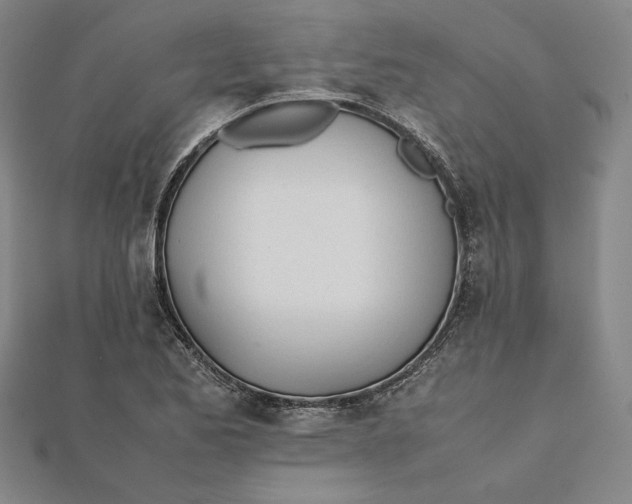 X0000112051173200908250952