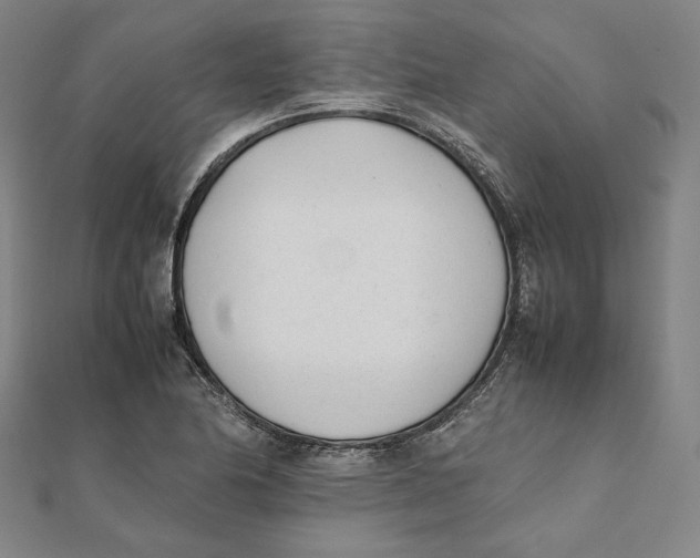 X0000112051174200908250952