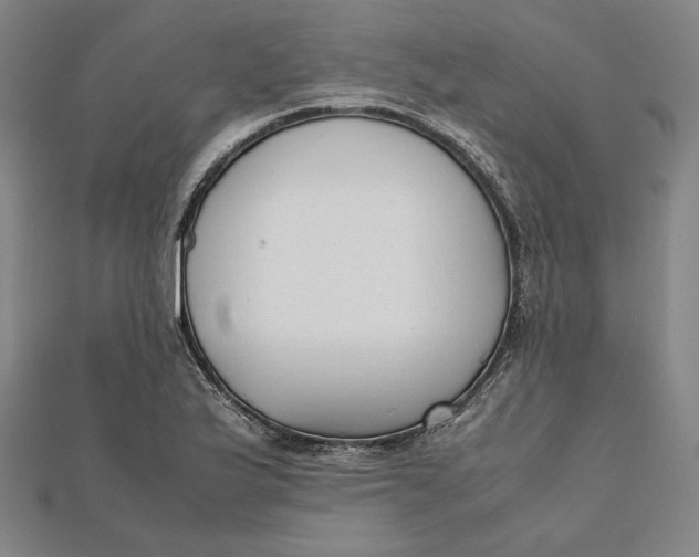 X0000112051175200908250952