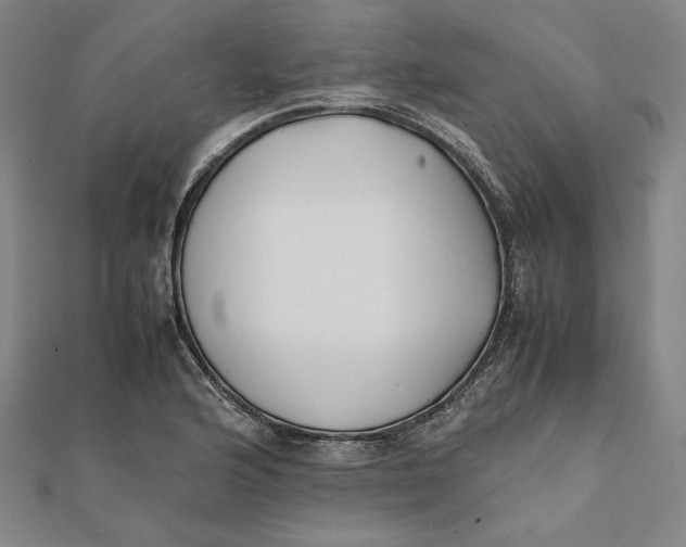 X0000112051176200908250952