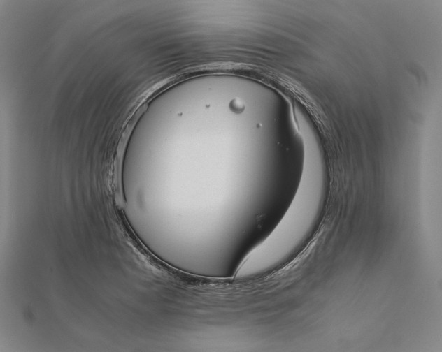 X0000112051177200908250952