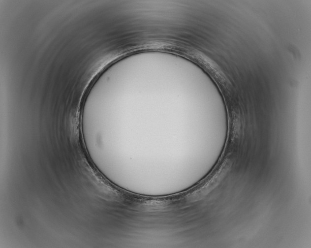 X0000112051178200908250952