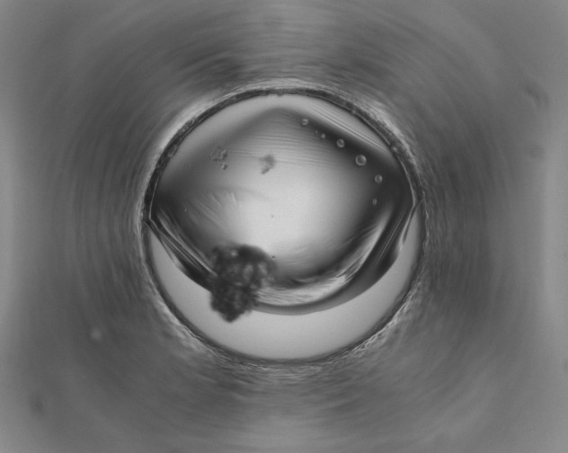 X0000112051181200908250951