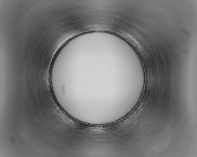 X0000112051182200908250951