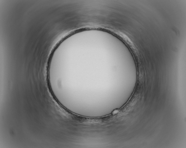 X0000112051183200908250951