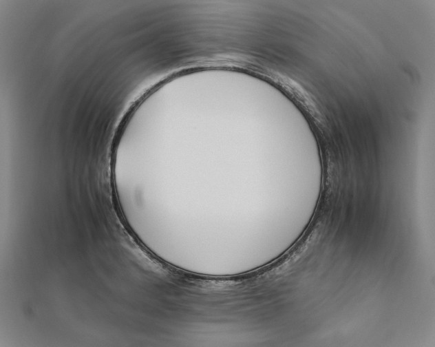 X0000112051184200908250951