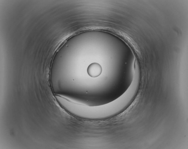 X0000112051185200908250951