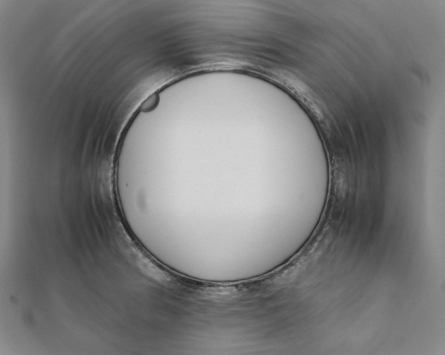 X0000112051186200908250951