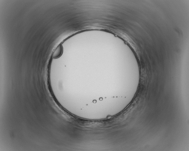 X0000112051187200908250951