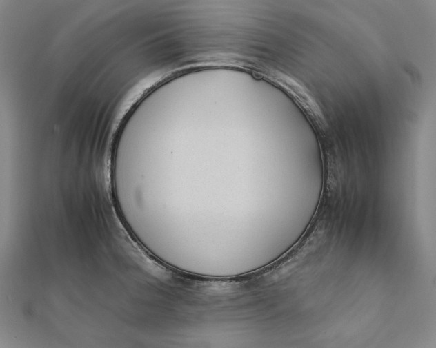 X0000112051188200908250951