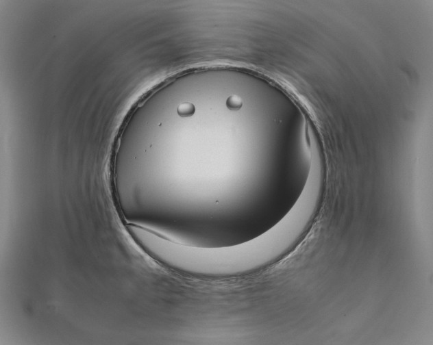 X0000112051189200908250951