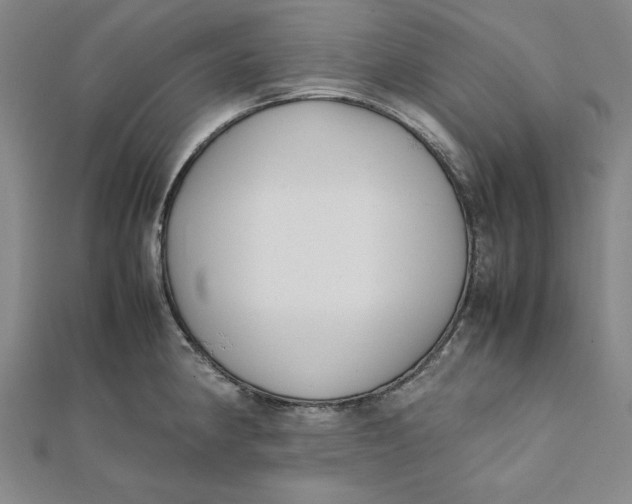 X0000112051190200908250951