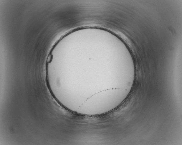 X0000112051191200908250951