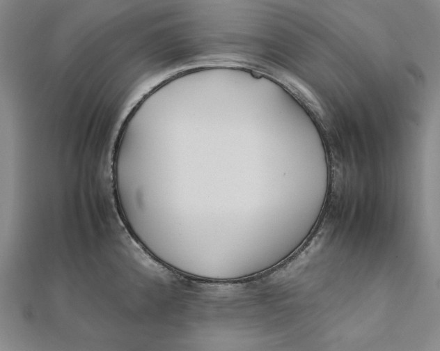 X0000112051192200908250951