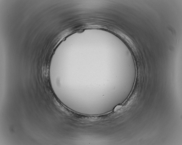 X0000112051193200908250951