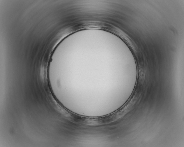 X0000112051194200908250951