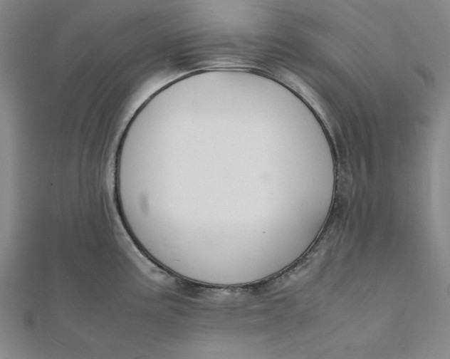 X0000112051195200908250951