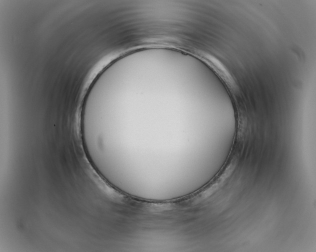 X0000112051196200908250951