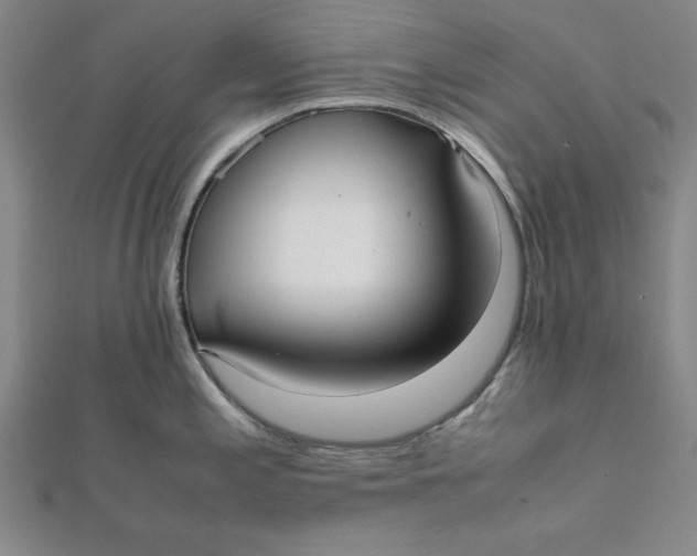 X0000112051197200908250951