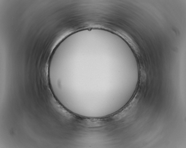 X0000112051198200908250951