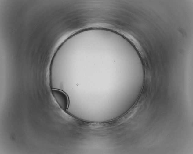 X0000112051199200908250951