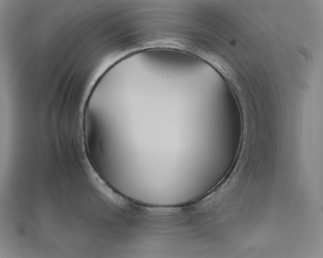 X0000112051200200908250951