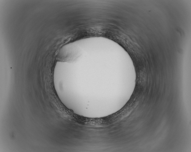 X0000112051201200908250951