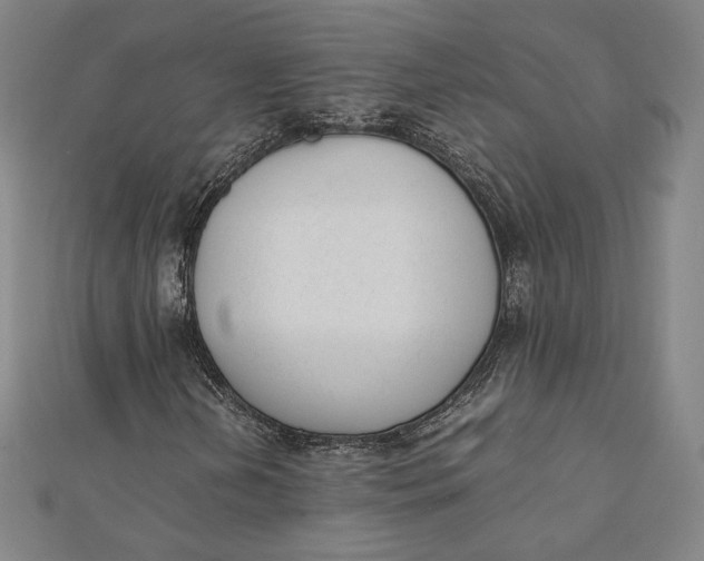 X0000112051202200908250951