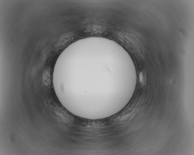 X0000112051203200908250951