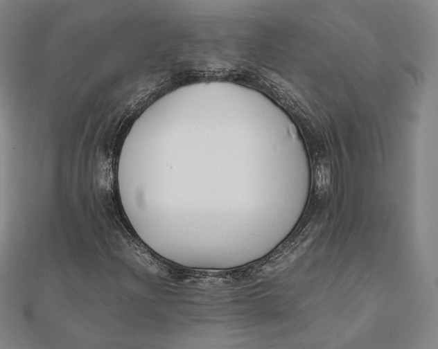 X0000112051204200908250951