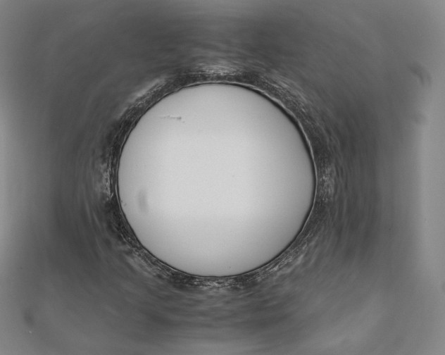 X0000112051205200908250951