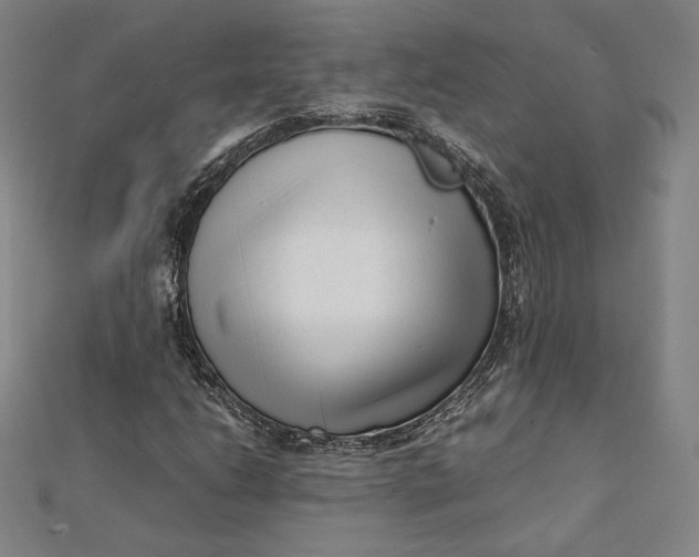 X0000112051206200908250951