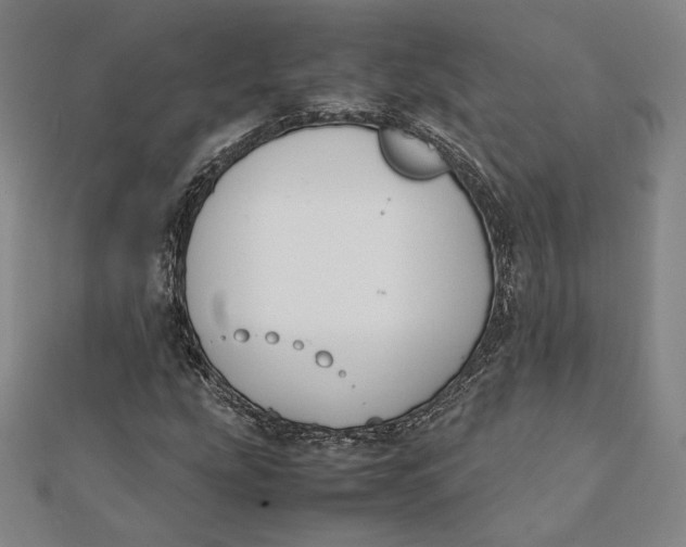 X0000112051207200908250951