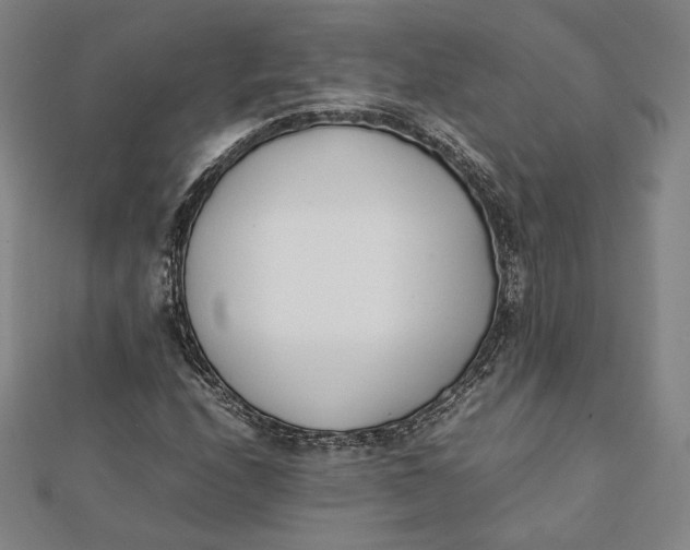 X0000112051208200908250951