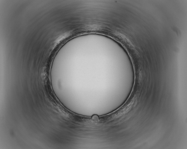 X0000112051210200908250951