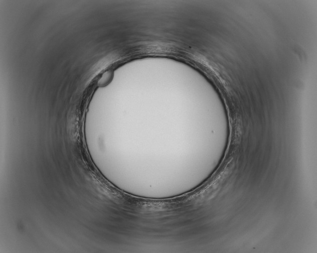 X0000112051211200908250951