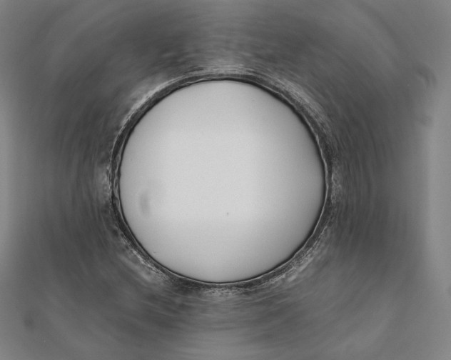 X0000112051212200908250951