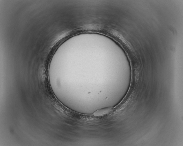 X0000112051213200908250951