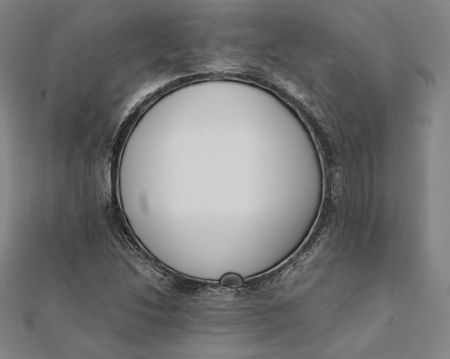 X0000112051214200908250951